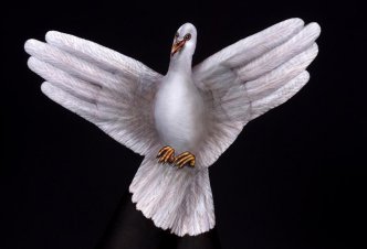 White Dove 2 hands - Ph. Guido Daniele
